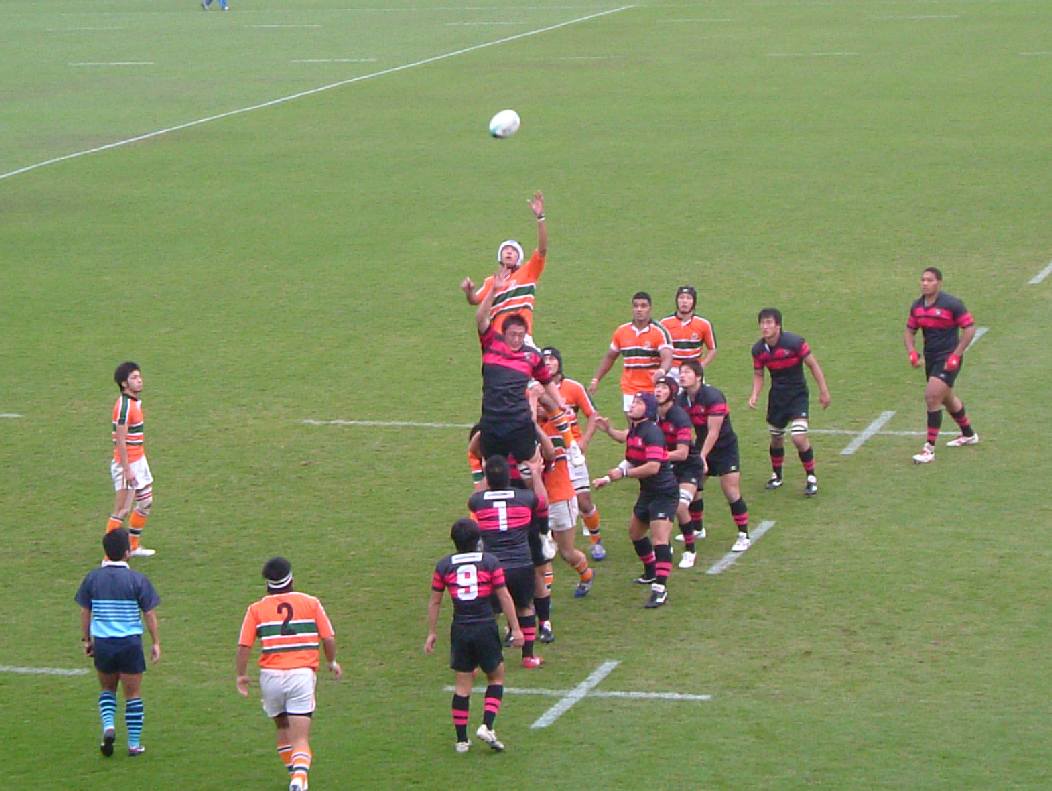 2005���{��wvs������w