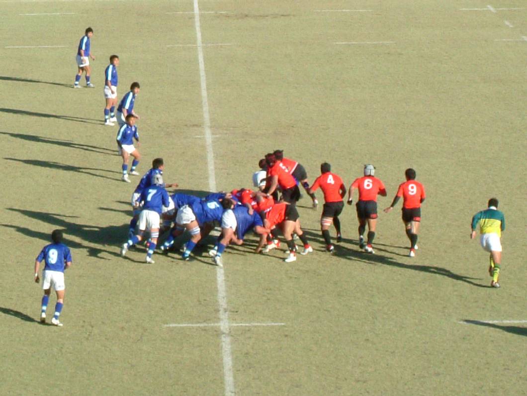 2005���C��wvs�鋞��w