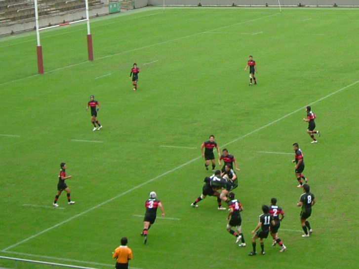 �哌vs����P