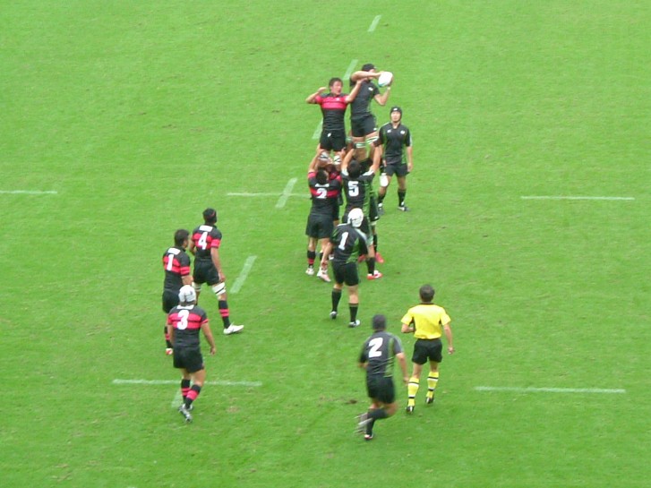 �哌vs����Q