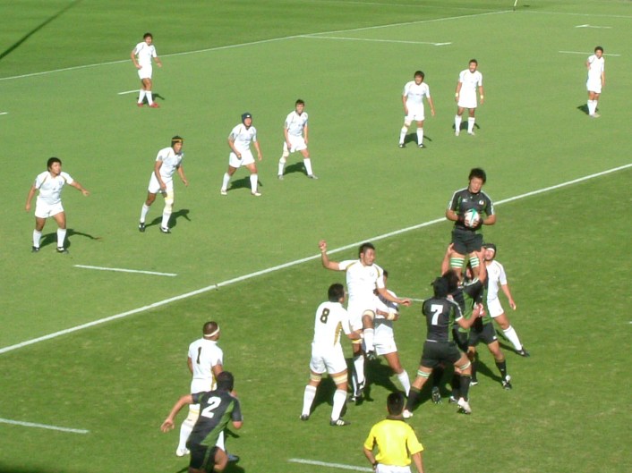 �哌vs���o�P