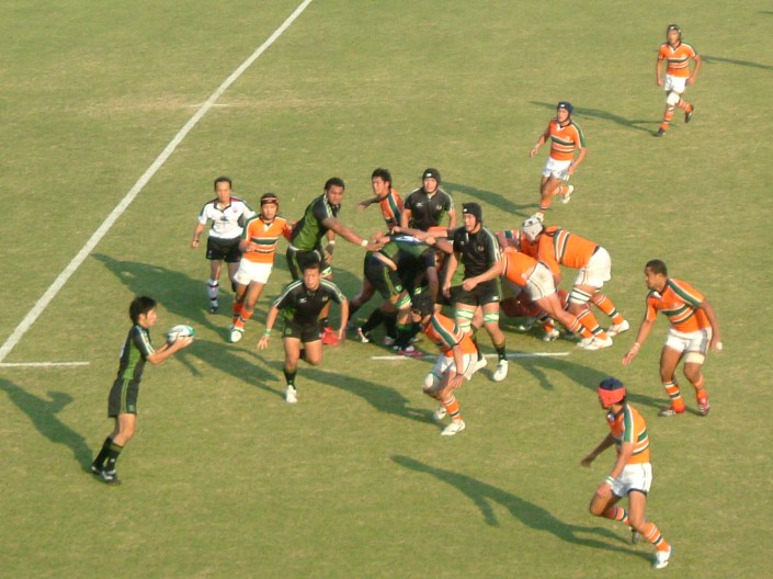 �哌vs�����P