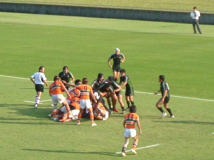 �哌vs�����Q