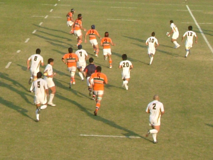 ���ovs�����P