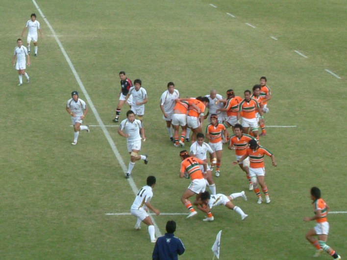 ���ovs�����Q