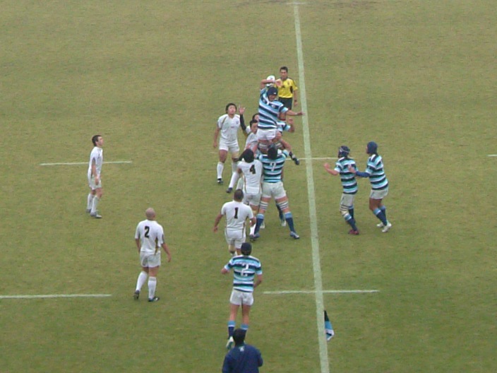 ���ovs�����P