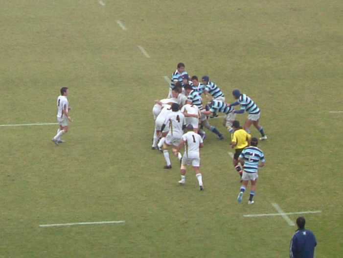 ���ovs�����Q