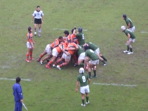 �哌vs�����Q