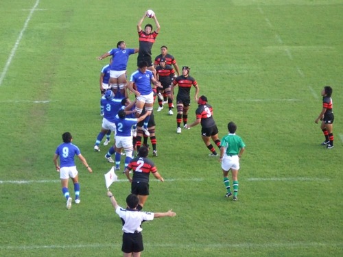 ���Cvs����