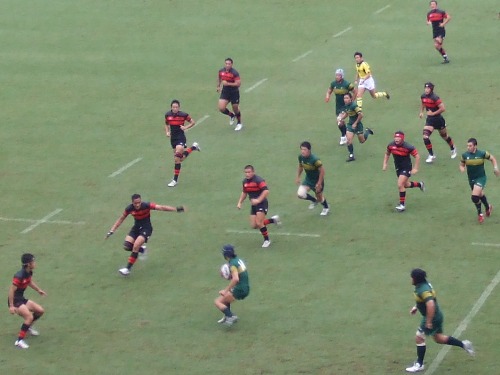 ��Bvs����P