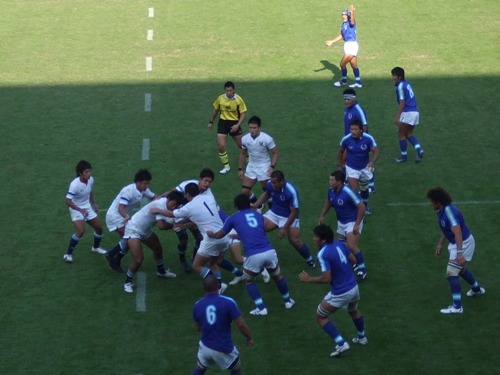 ���Cvs����