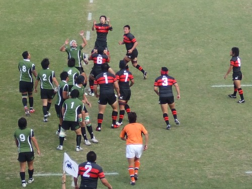 �哌 vs ����P