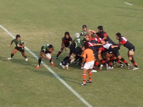 �哌 vs ����Q