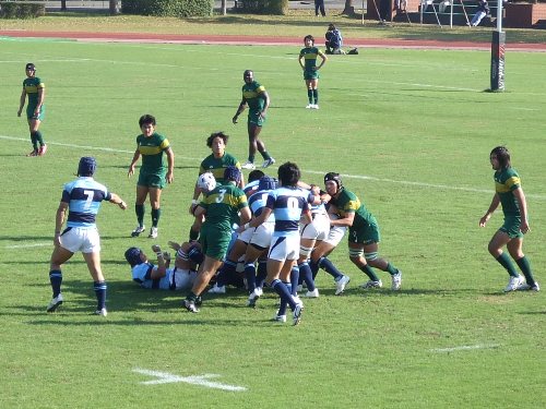 �֓�vs���Q