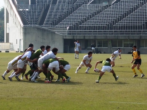 ���ovs�哌�P