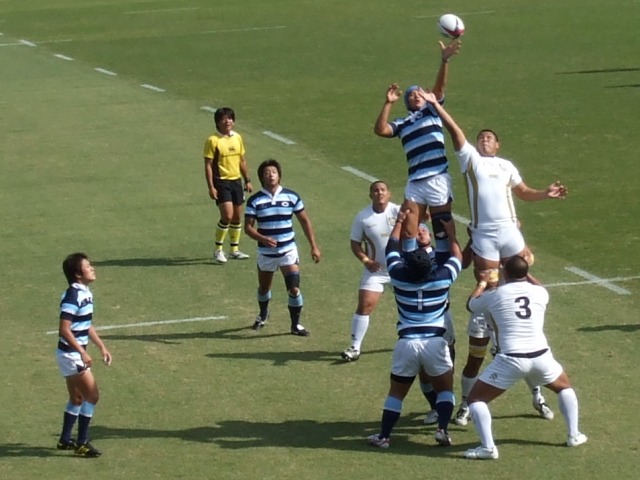 ���ovs����