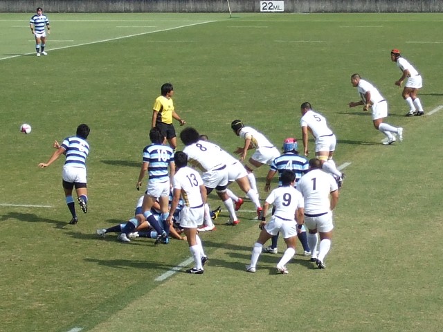 ���ovs����