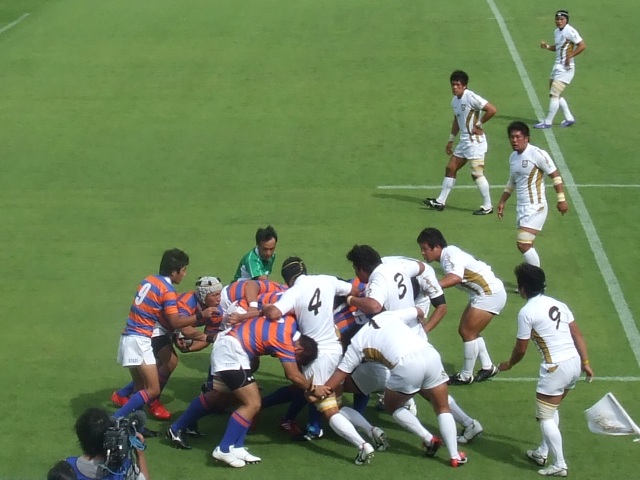 ���ovs�@��