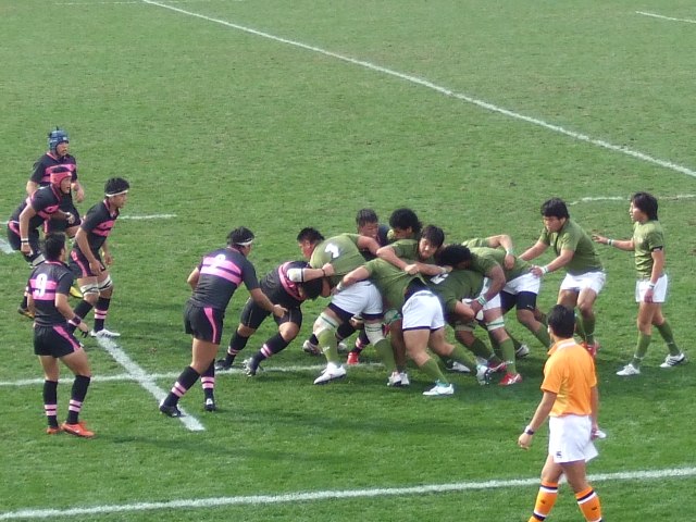 �哌vs����